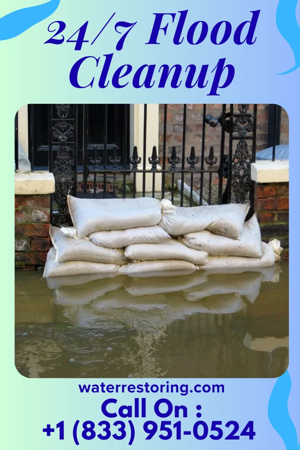 24/7 Flood Cleanup in Bobtown, VA