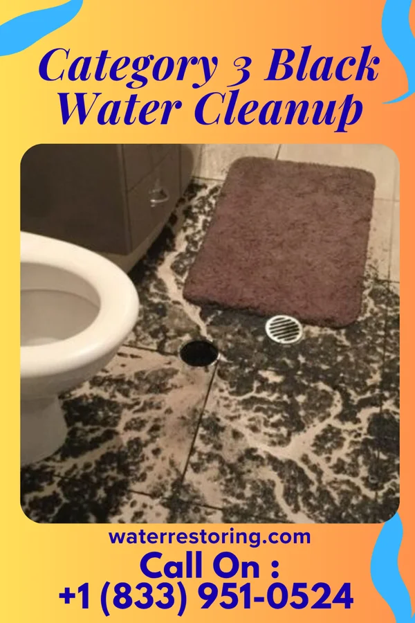 Category 3 Black Water Cleanup in Bobtown, VA