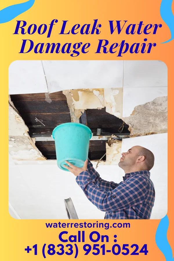 Roof Leak Water Damage Repair in Bobtown, VA