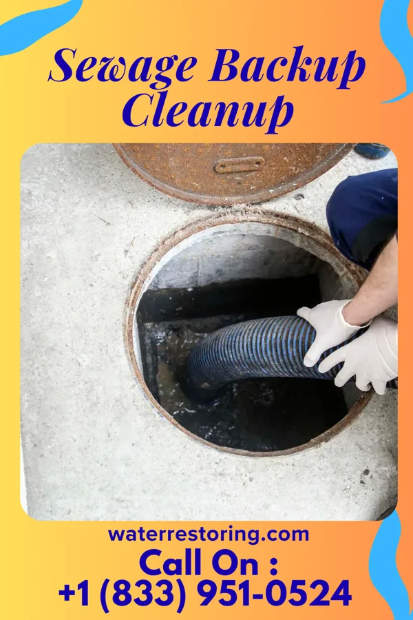 Sewage Backup Cleanup in Bobtown, VA