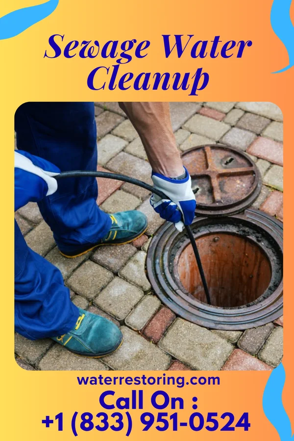Sewage Water Cleanup in Bobtown, VA